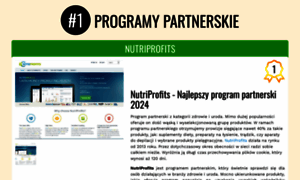Programy-partnerskie.info thumbnail
