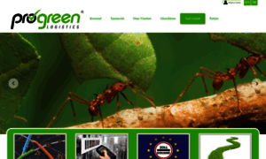 Progreen.com.tr thumbnail