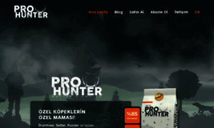 Prohunter.pro thumbnail