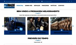 Proimagemmelhoramento.com.br thumbnail