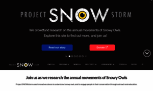 Projectsnowstorm.org thumbnail