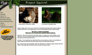 Projectsquirrel.org thumbnail