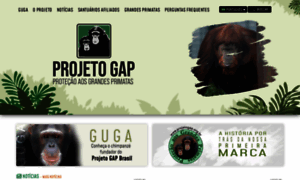 Projetogap.org.br thumbnail