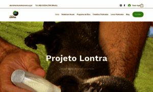 Projetolontra.com thumbnail