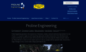 Prolineengineering.co.nz thumbnail