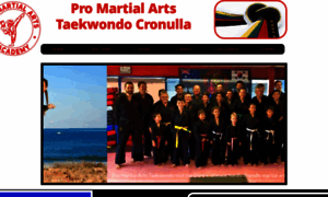 Promartialarts-academy.com thumbnail