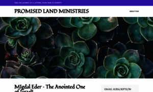 Promisedlandministries.wordpress.com thumbnail