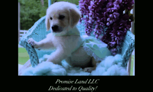 Promiselandgoldens.com thumbnail