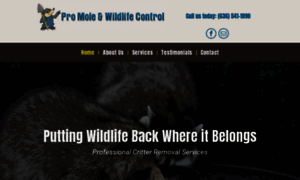 Promoleandwildlifecontrol.com thumbnail