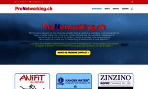 Pronetworking.ch thumbnail