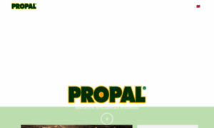 Propal.cl thumbnail