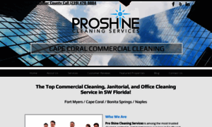 Proshinecleaningservices.com thumbnail