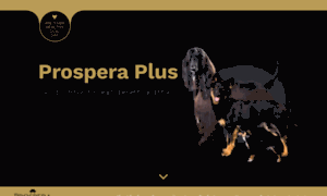 Prosperaplus.eu thumbnail