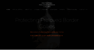 Protectingprelovedbordercollies.org.uk thumbnail