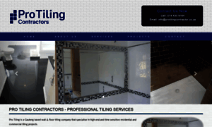 Protilingcontractor.co.za thumbnail