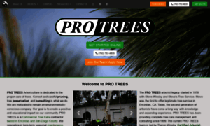 Protrees.com thumbnail