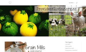 Providentliving.org.nz thumbnail