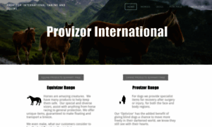 Provizorinternational.com thumbnail