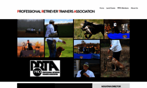 Prta.net thumbnail