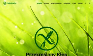 Przekreslonyklos.pl thumbnail