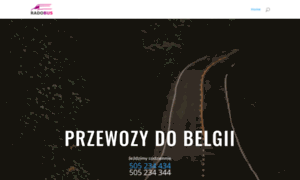 Przewozy-do-belgii.pl thumbnail