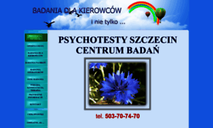 Psychotesty-szczecin.pl thumbnail