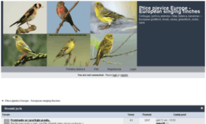 Ptice-birds.your-board.com thumbnail