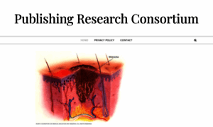 Publishingresearchconsortium.com thumbnail