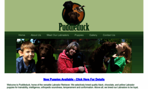 Puddleduckretrievers.com thumbnail