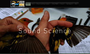 Pugetsoundbirds.org thumbnail