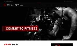 Pulsegym.in thumbnail