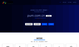 Pum.com.cn thumbnail