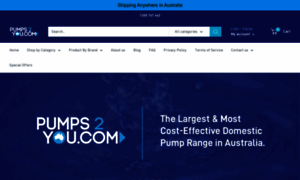 Pumps2you.com thumbnail