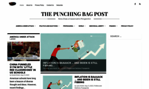 Punchingbagpost.com thumbnail