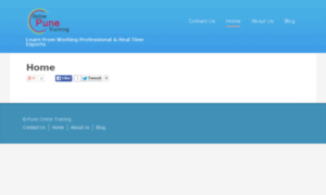 Puneonlinetraining.com thumbnail