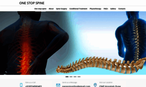 Punespinesurgeon.com thumbnail