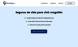 Puntoseguro.b-cdn.net thumbnail
