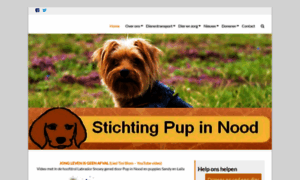 Pupinnood.nl thumbnail