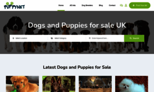 Puppies-forsale.co.uk thumbnail