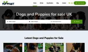 Puppiesforsale.uk.com thumbnail