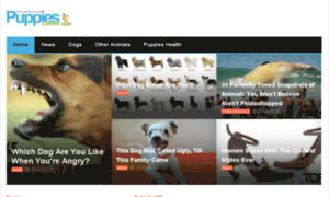 Puppieslovers.org thumbnail