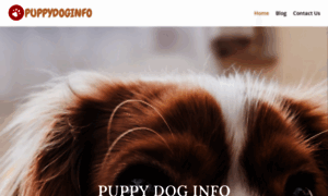 Puppydoginfo.com thumbnail