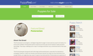 Puppyfind.com thumbnail