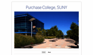 Purchasecollegesuny.wordpress.com thumbnail