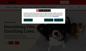 Purinaone.co.uk thumbnail