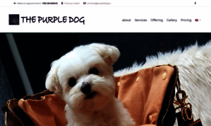 Purpledog.lu thumbnail