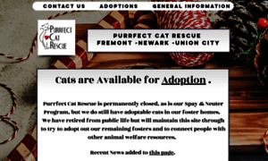 Purrfectcatrescue.org thumbnail