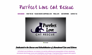 Purrfectlovecatrescue.com thumbnail