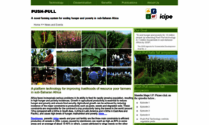 Push-pull.net thumbnail