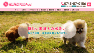 Puti.co.jp thumbnail